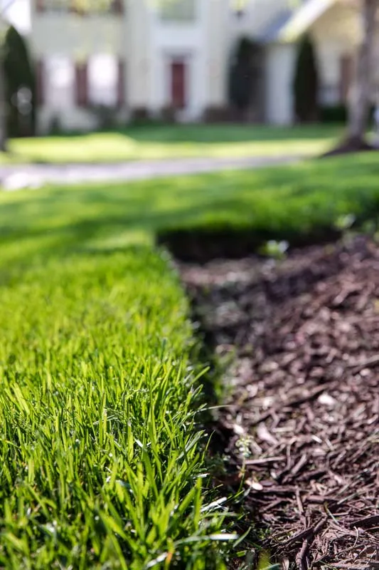 mulching with properly edged grass