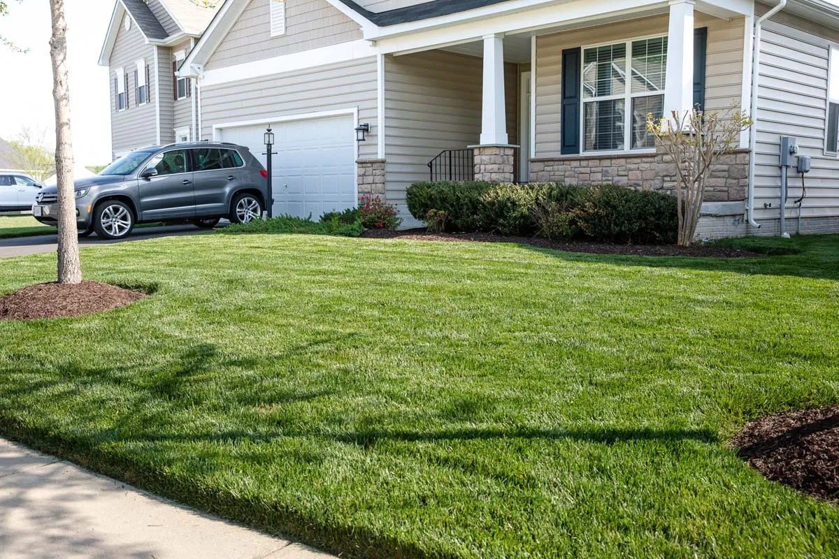Well Trimmed Lawn